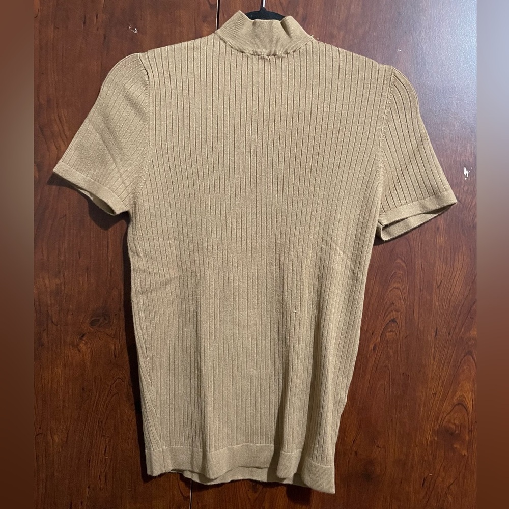 Zara Tan Turtleneck Sweater